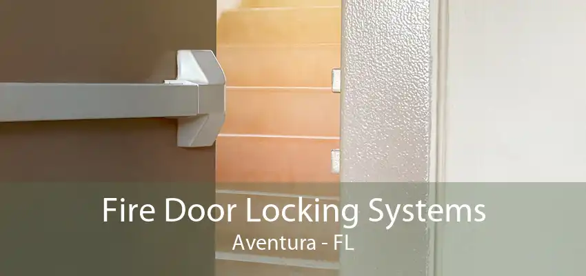 Fire Door Locking Systems Aventura - FL